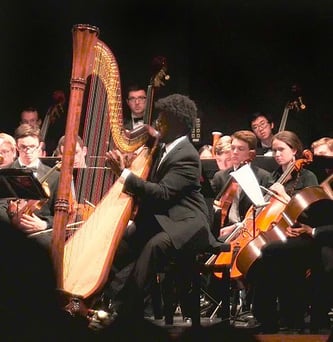Charles Overton, harp, plays a Jazz improvisation in Huescar zander-008.jpg